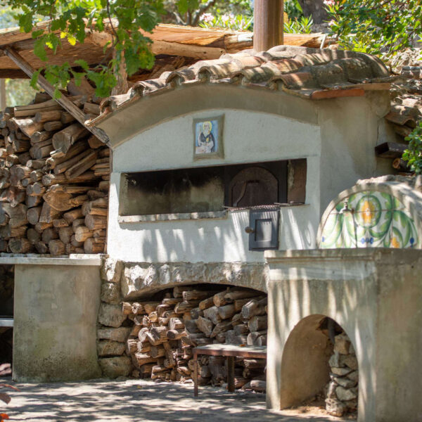 Wood-fired oven